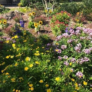 Meet your Posher, Paige